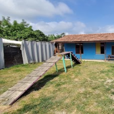 Frizbi Pet Otel ve Köpek Eğitim Merkezi