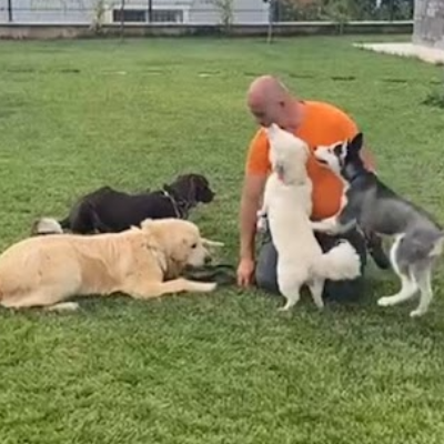 Samsun vip Köpek Eğitimi Merkezi