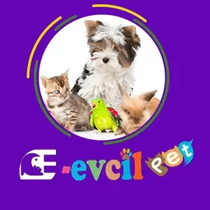 Evcil Muhabbet Kuşu Üretimi