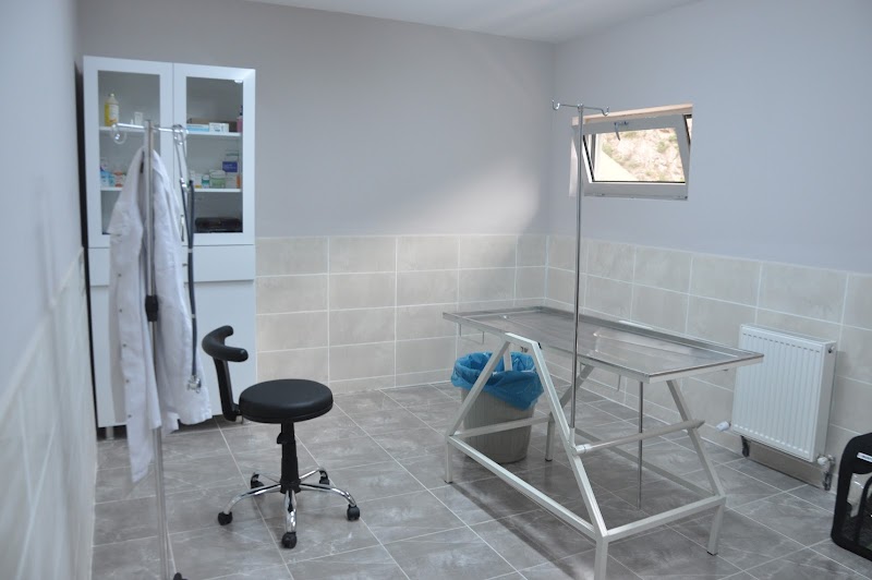 Artvin Hayvan Bakımevi ve Rehabilitasyon Merkezi