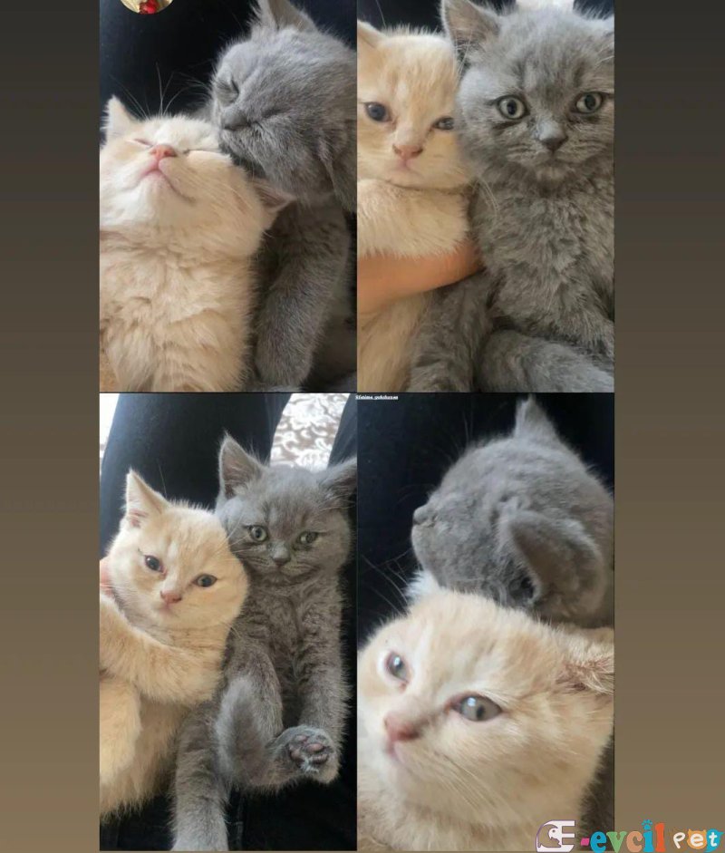 Ailemizin en sempatik üyesi