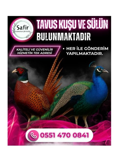 TAVUS KUŞU VE SÜLÜN