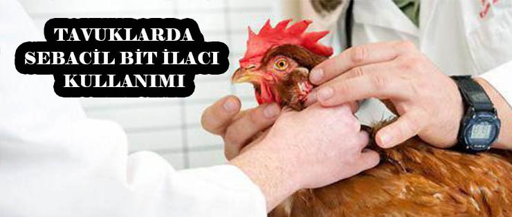Sebacil Bit İlacı Kullanımı