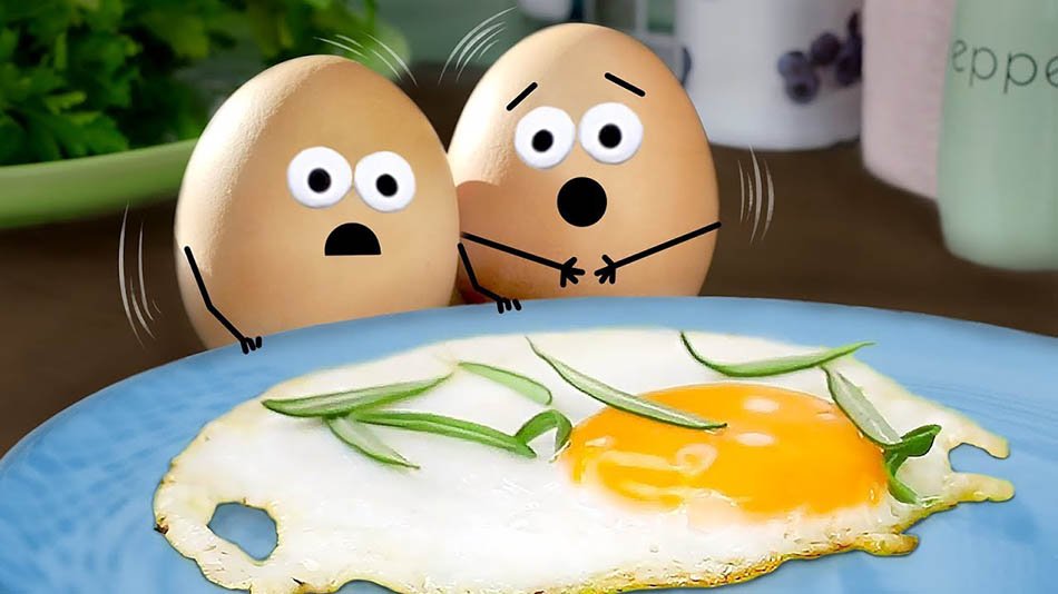 Tavuğum Kendi Yumurtasını Yiyiyor Ne yapmalıyım?