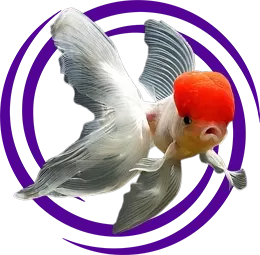 Aslanbaş, Aslan Kafa