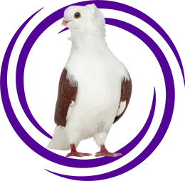 Eski Alman Mısırlısı