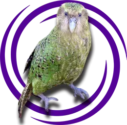 Kakapo (Strigops habroptilus)