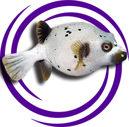 Köpek Yüzlü Puffer (Arothron nigropunctatus)