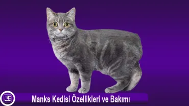 Manks