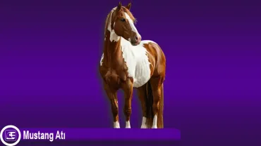 Mustang Atı