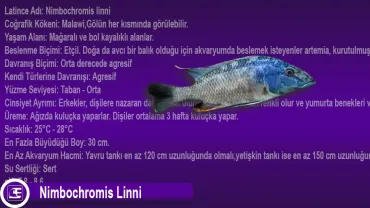 Nimbochromis Linni