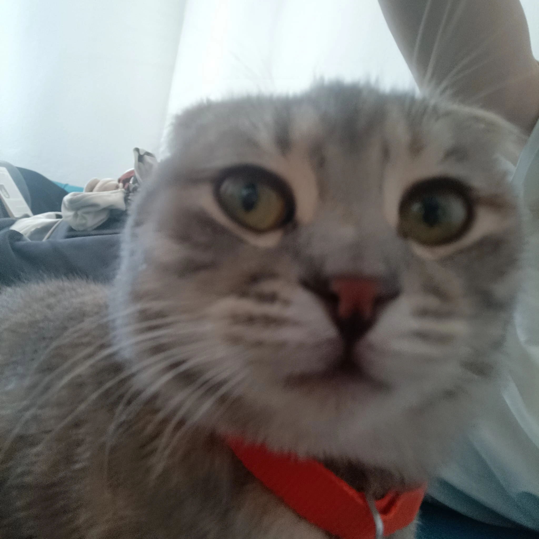 Fotoğraf