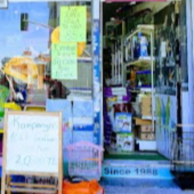 Beynur Petshop