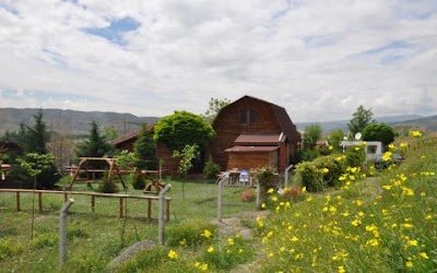 Ankara Köpek Oteli Ankara / Alf Köpek Oteli