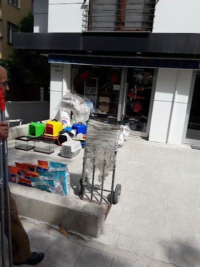 Cino pet shop