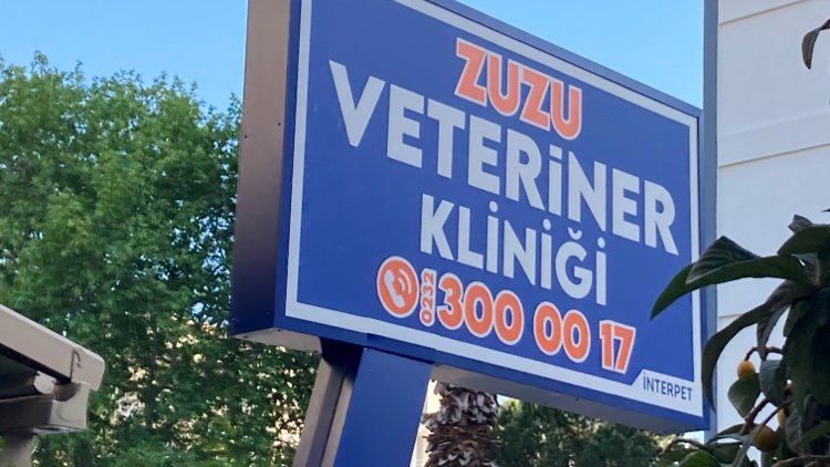 Zuzu Veteriner Kliniği