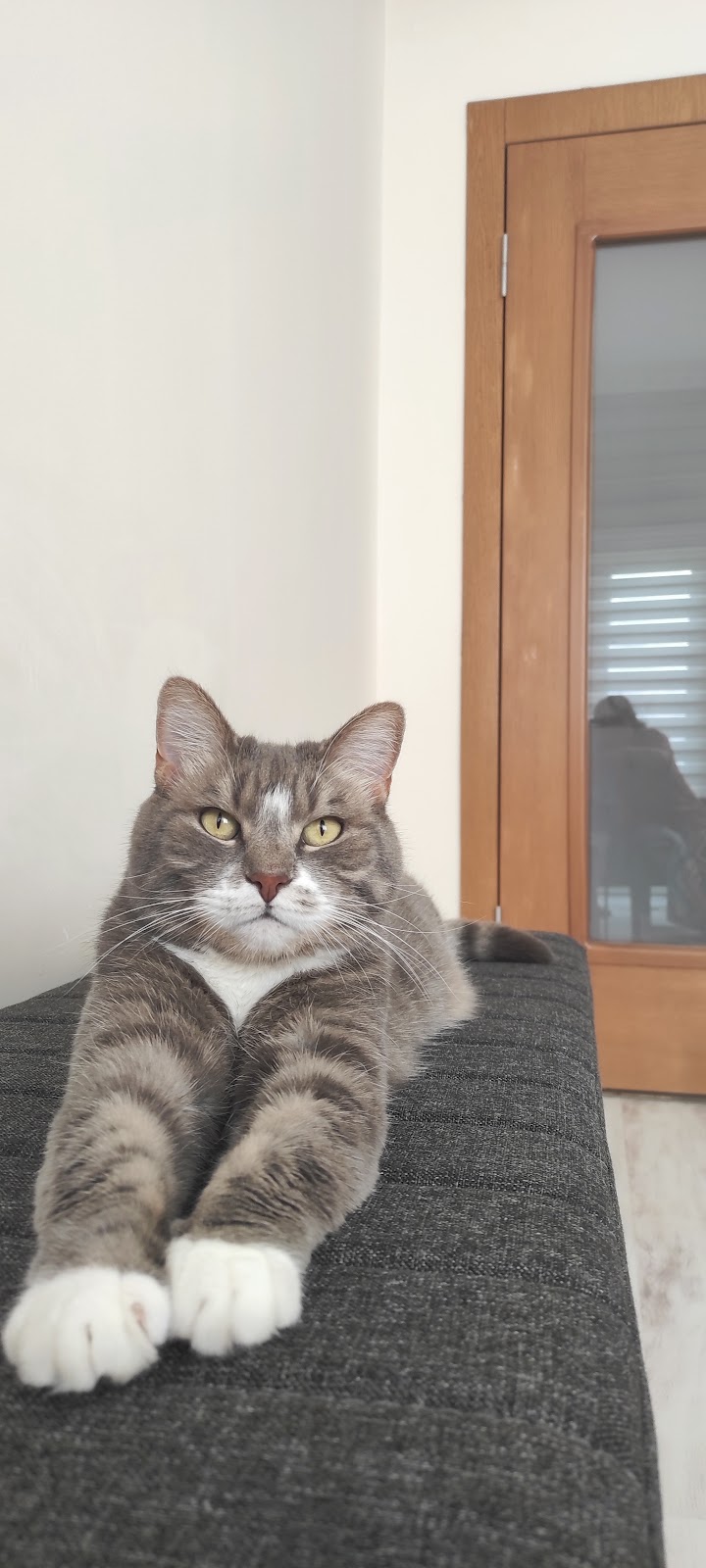 Talas Veteriner Kliniği