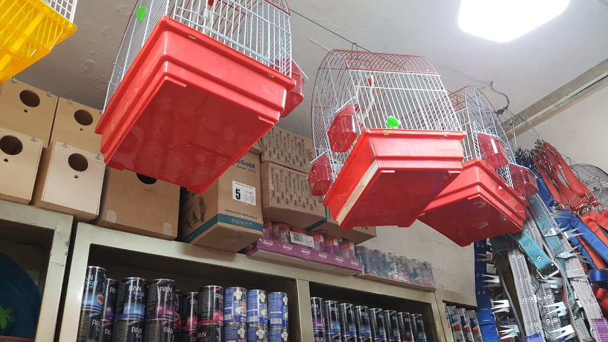 Gökhan Koç petshop
