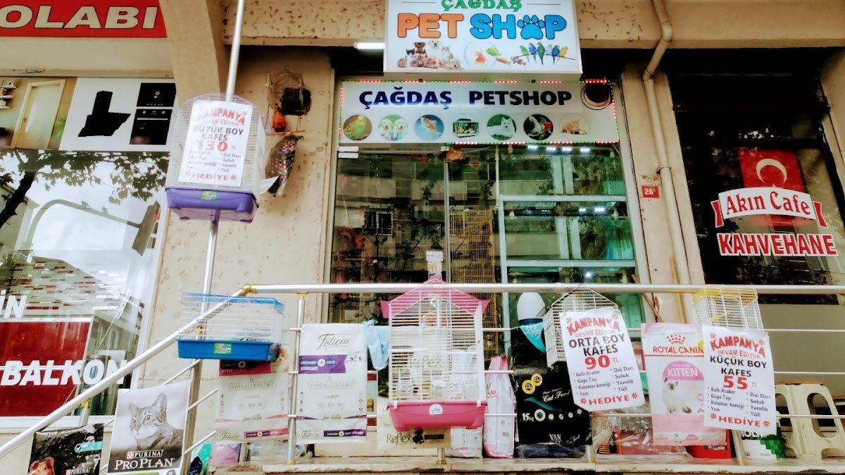 Çağdaş Petshop