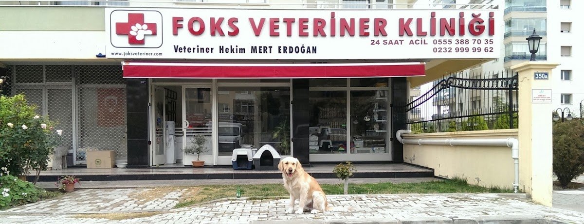 Foks Veteriner Kliniği