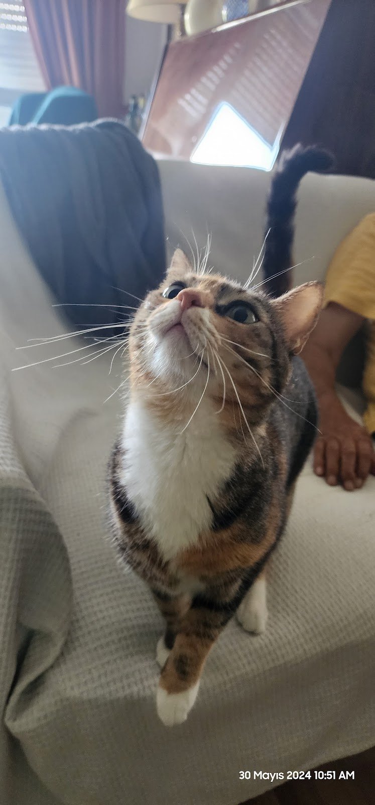 Pet Point Veteriner Kliniği