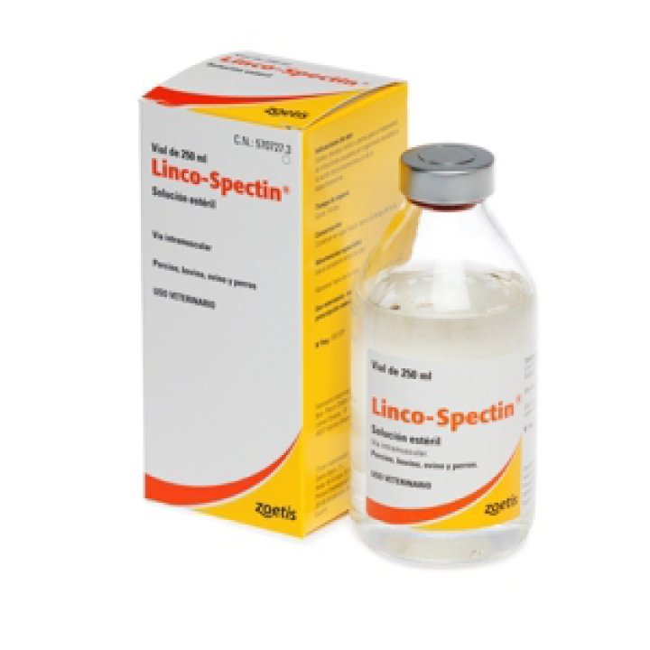 Linco Spectin Nedir? Ne İşe Yarar ve Nasıl Kullanılır