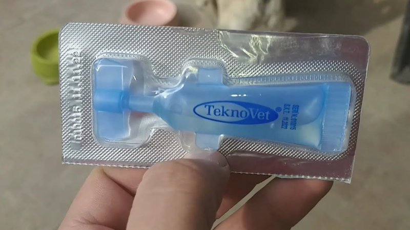 Köpek Dış parazit hapı veya Damlası tavsiye