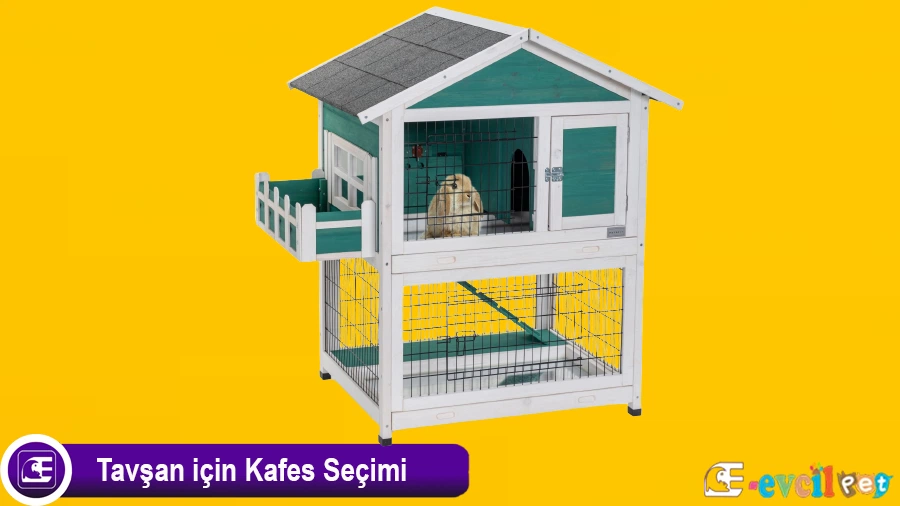 Tavşan Kafesi