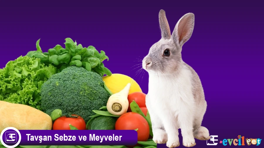 Sebzeler ve Meyveler