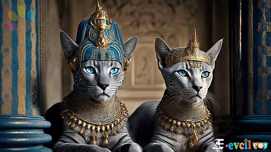 Mısır Mausu Temel Eğitimi ve Tuvalet Eğitimi