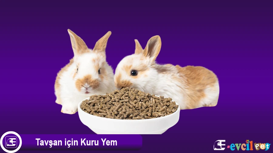 Tavşan için Yüksek Lifli Kuru Yem