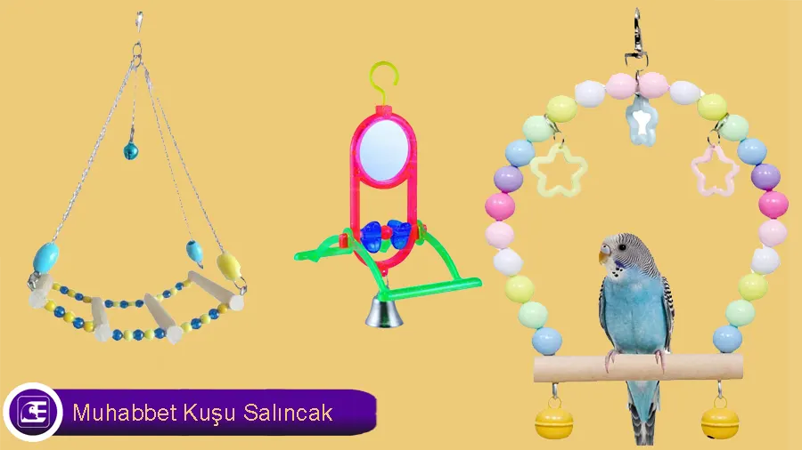 Muhabbet Kuşu Salıncak
