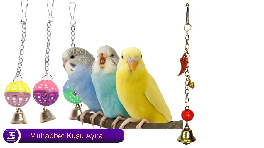 Muhabbet Kuşu zil