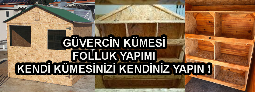 Güvercin Kümesi Yapımı