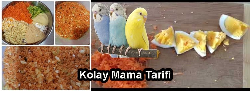 Muhabbet Kuşu Mama Tarifi