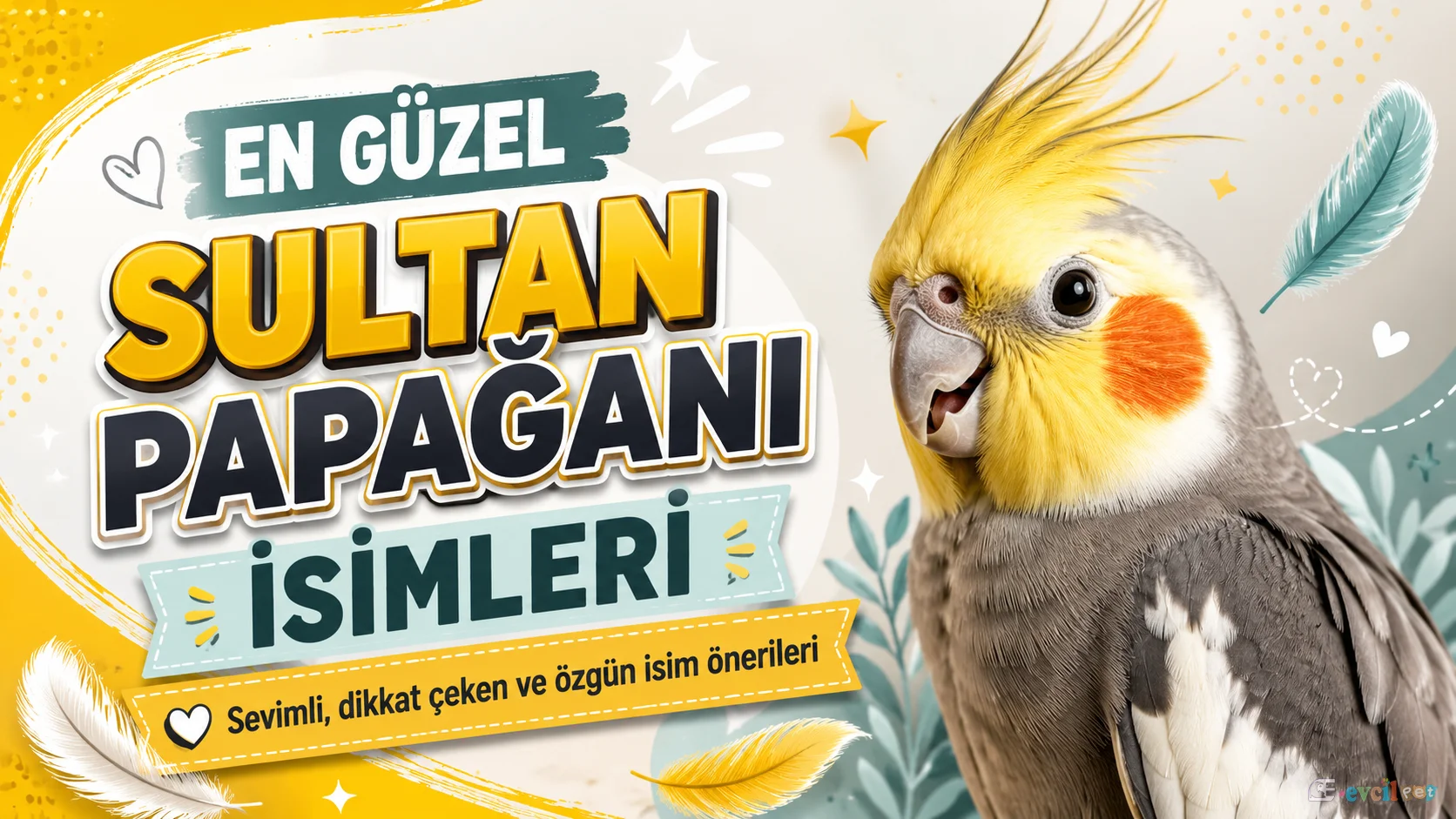 Sultan papağanı isimleri için hazırlanan dikkat çekici görsel, sevimli ve özgün kuş isim önerileri.